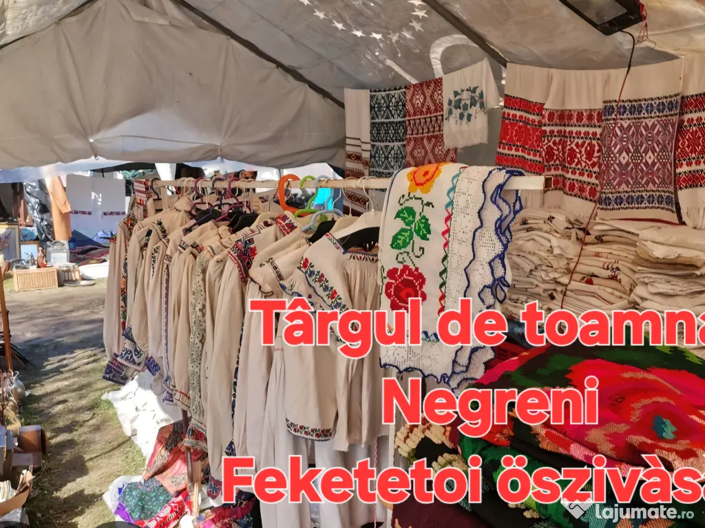 Teren de vanzare 26403mp 