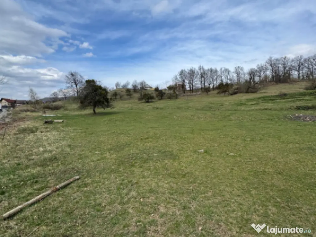 Teren 1.17 ha Baia Sprie, intravilan, PUZ aprobat, dublu acc