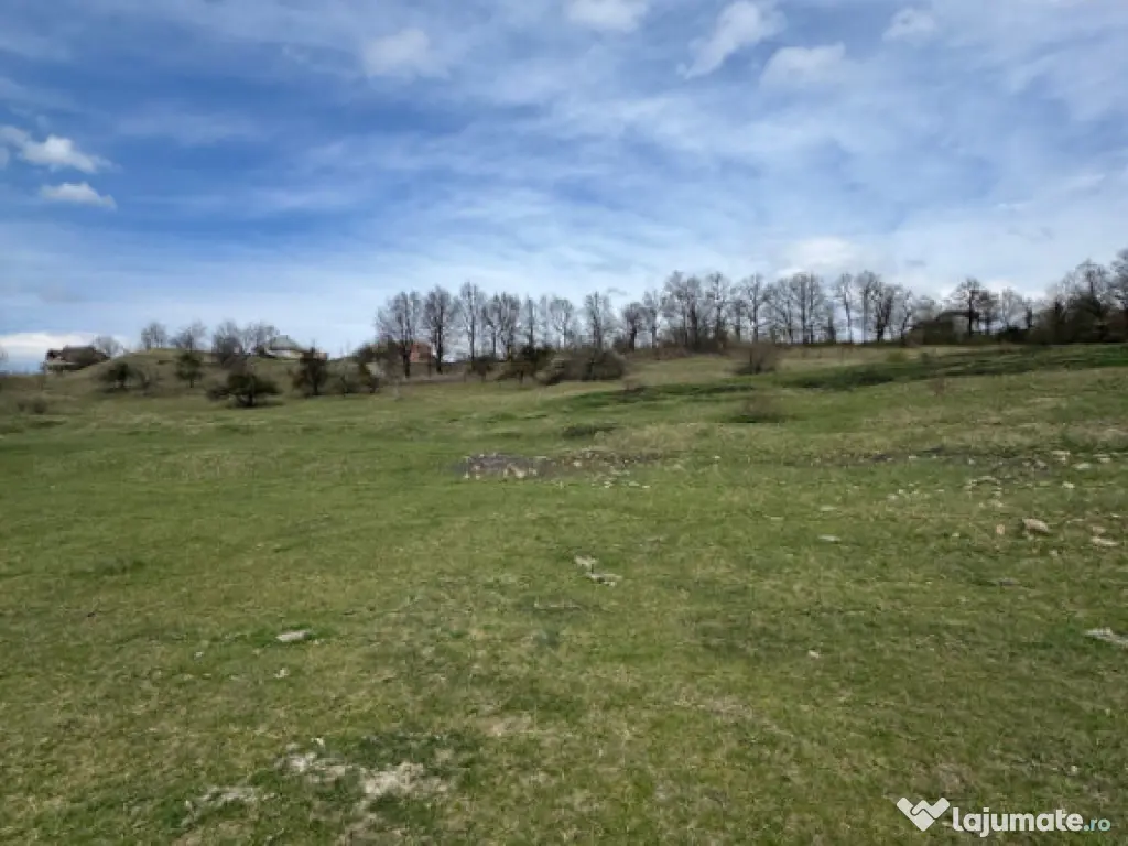 Teren 1.17 ha Baia Sprie, intravilan, PUZ aprobat, dublu acc