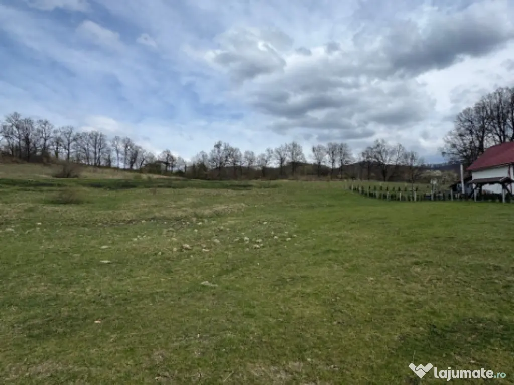 Teren 1.17 ha Baia Sprie, intravilan, PUZ aprobat, dublu acc