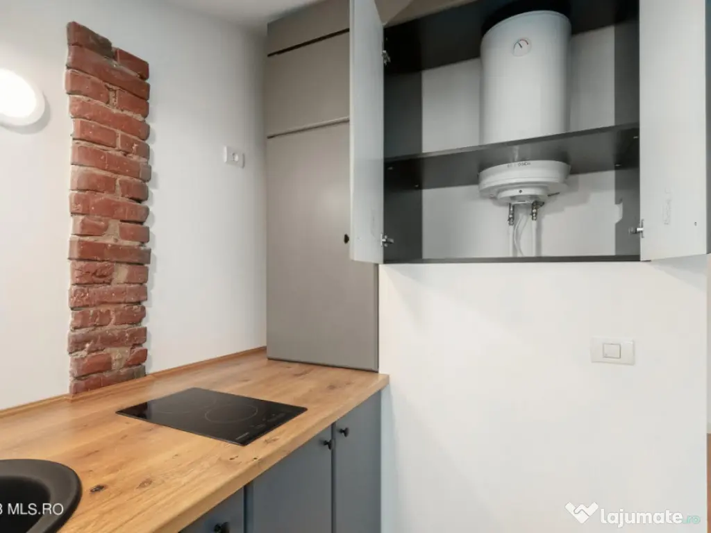 COTROCENI-GRADINA BOTANICA STUDIO LA CHEIE, 33 MP! 