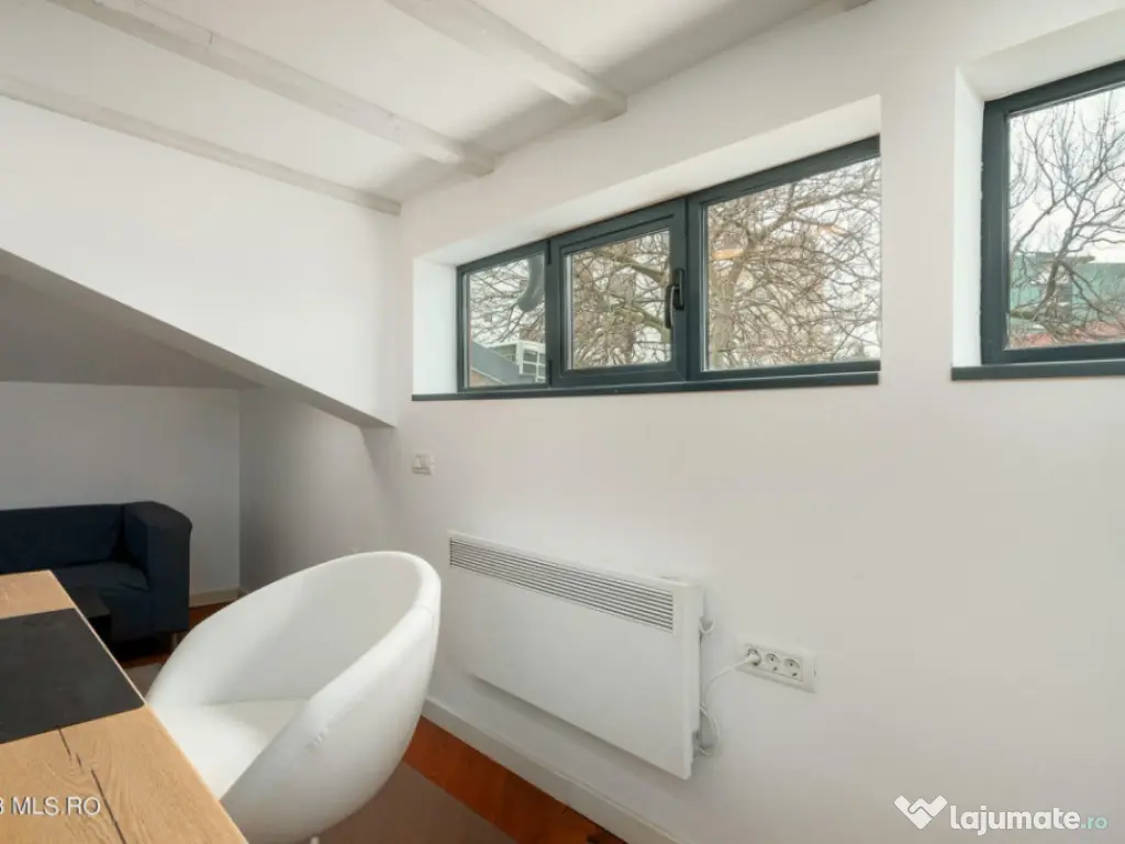 COTROCENI-GRADINA BOTANICA STUDIO LA CHEIE, 33 MP! 