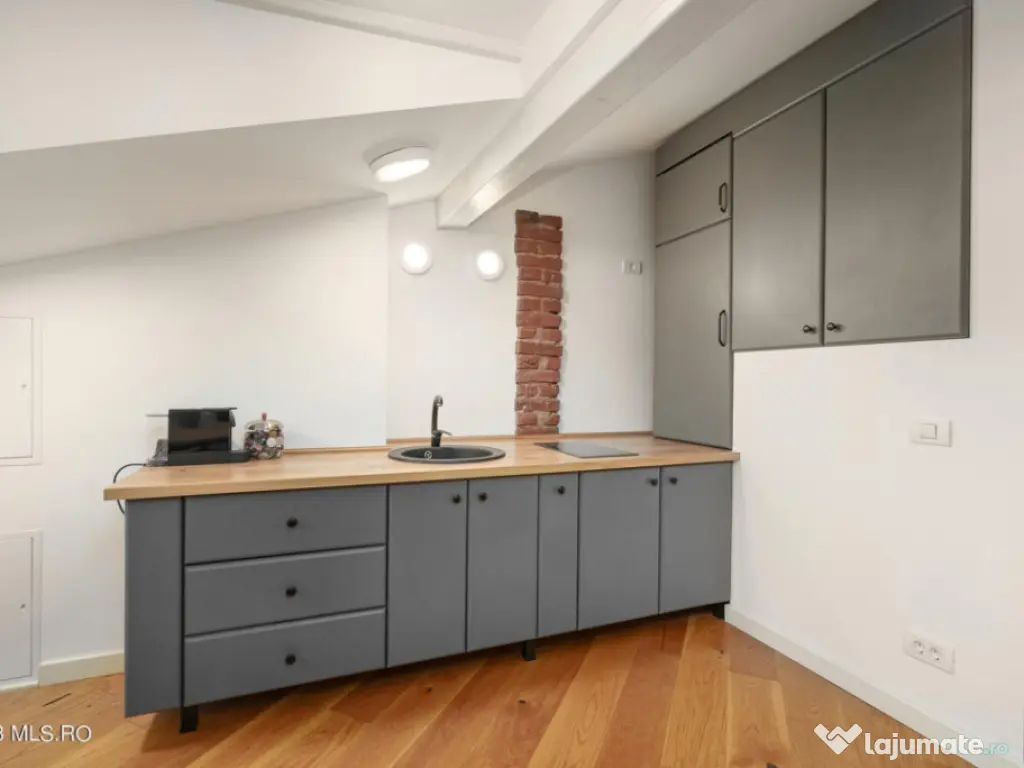 COTROCENI-GRADINA BOTANICA STUDIO LA CHEIE, 33 MP! 