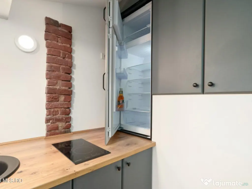 COTROCENI-GRADINA BOTANICA STUDIO LA CHEIE, 33 MP! 