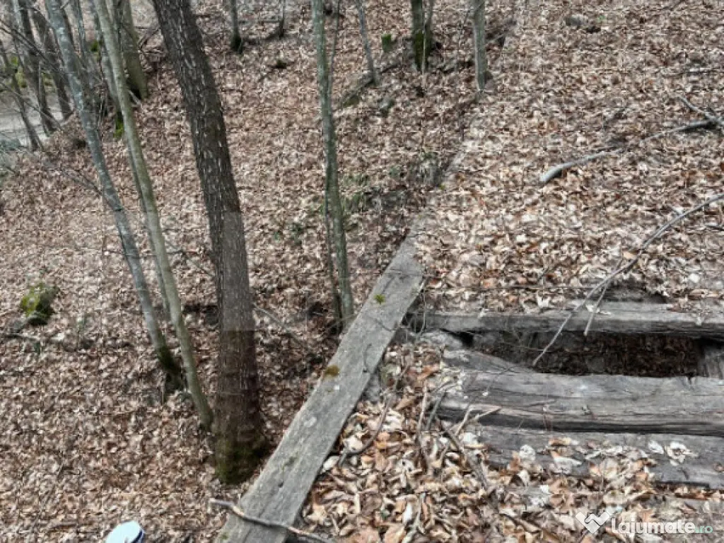 Teren extravilan de vanzare, 3.5 ha padure + pasune in Comun 