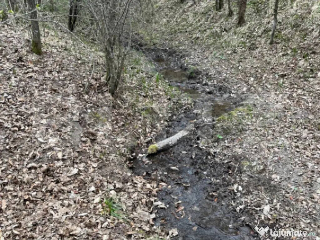Teren extravilan de vanzare, 3.5 ha padure + pasune in Comun 