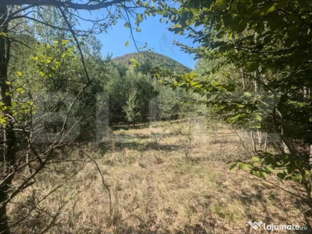 Teren extravilan de vanzare, 3.5 ha padure + pasune in Comun 