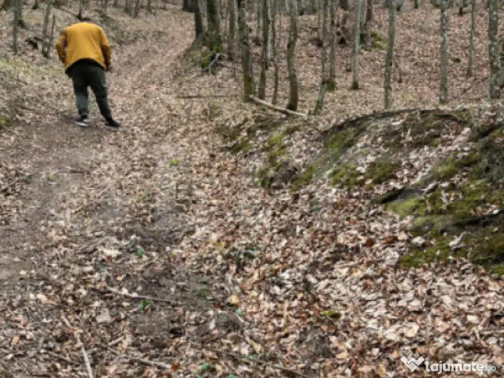 Teren extravilan de vanzare, 3.5 ha padure + pasune in Comun 