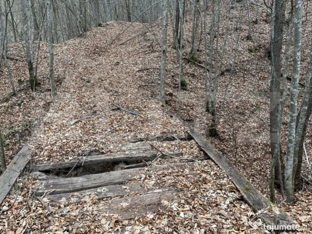 Teren extravilan de vanzare, 3.5 ha padure + pasune in Comun 