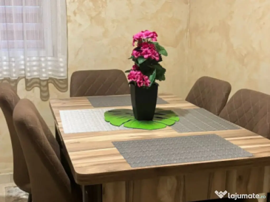 Apartament 2 camere decomandat, SEGARCEA 