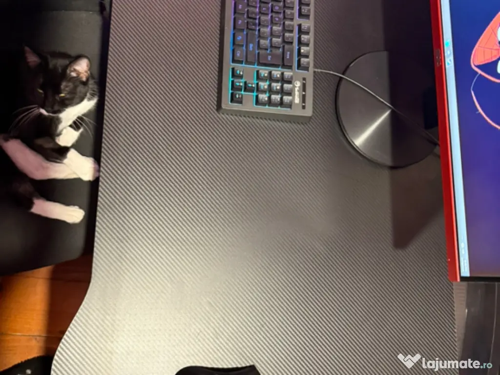 Setup Gaming Complet 