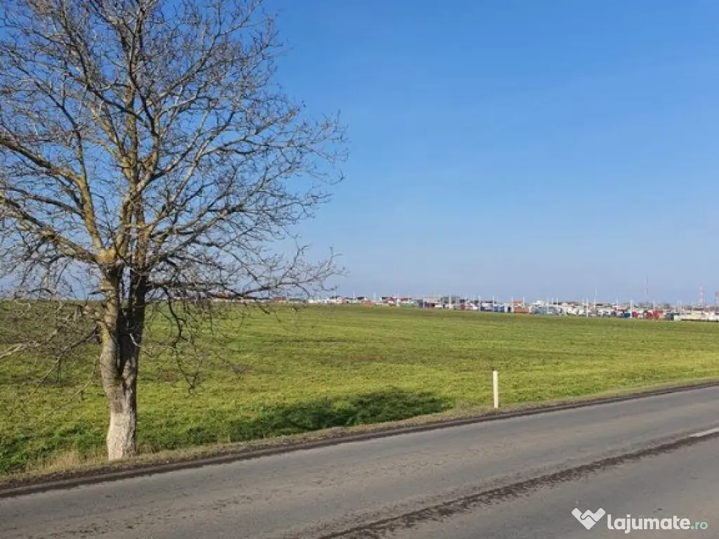 Teren de vanzare in Agigea, Varianta Agigea Techirghiol - 25000 mp 