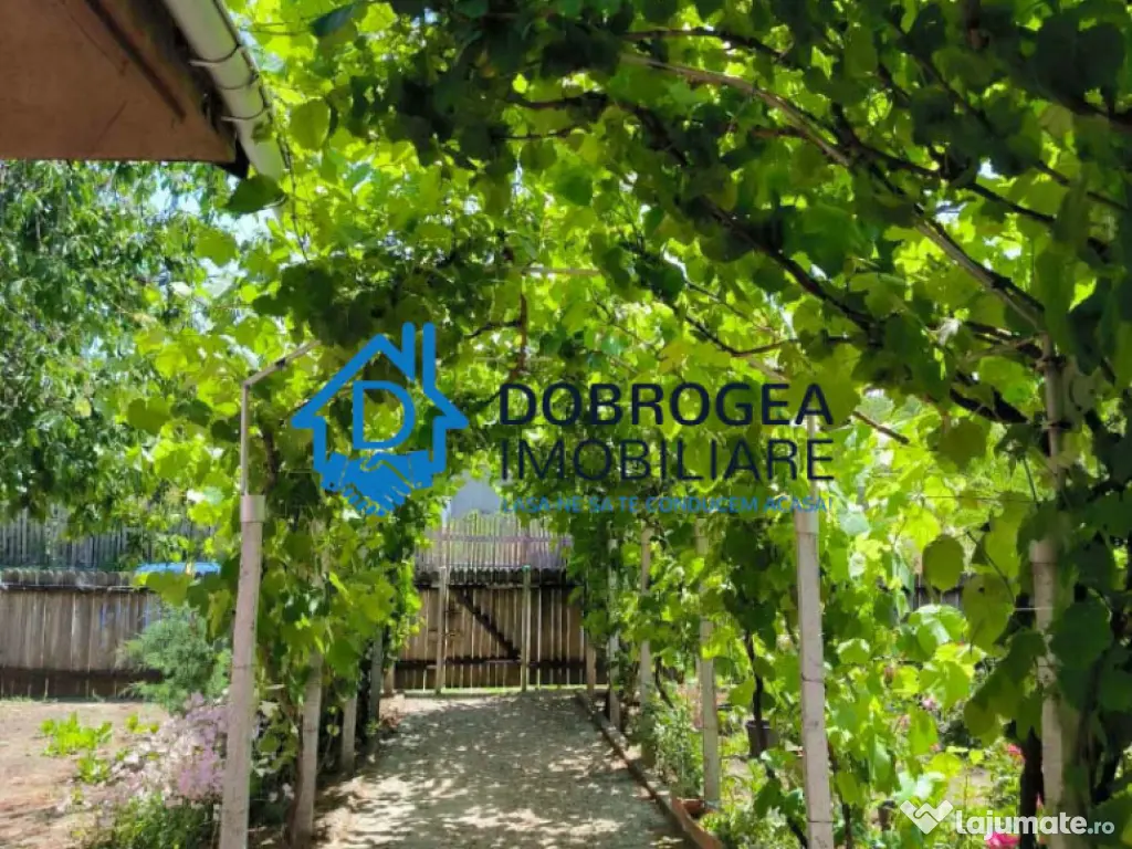 CATALOI - CASA 3 CAMERE, SUPRAFATA 76,50 MP, TEREN 2250 MP 