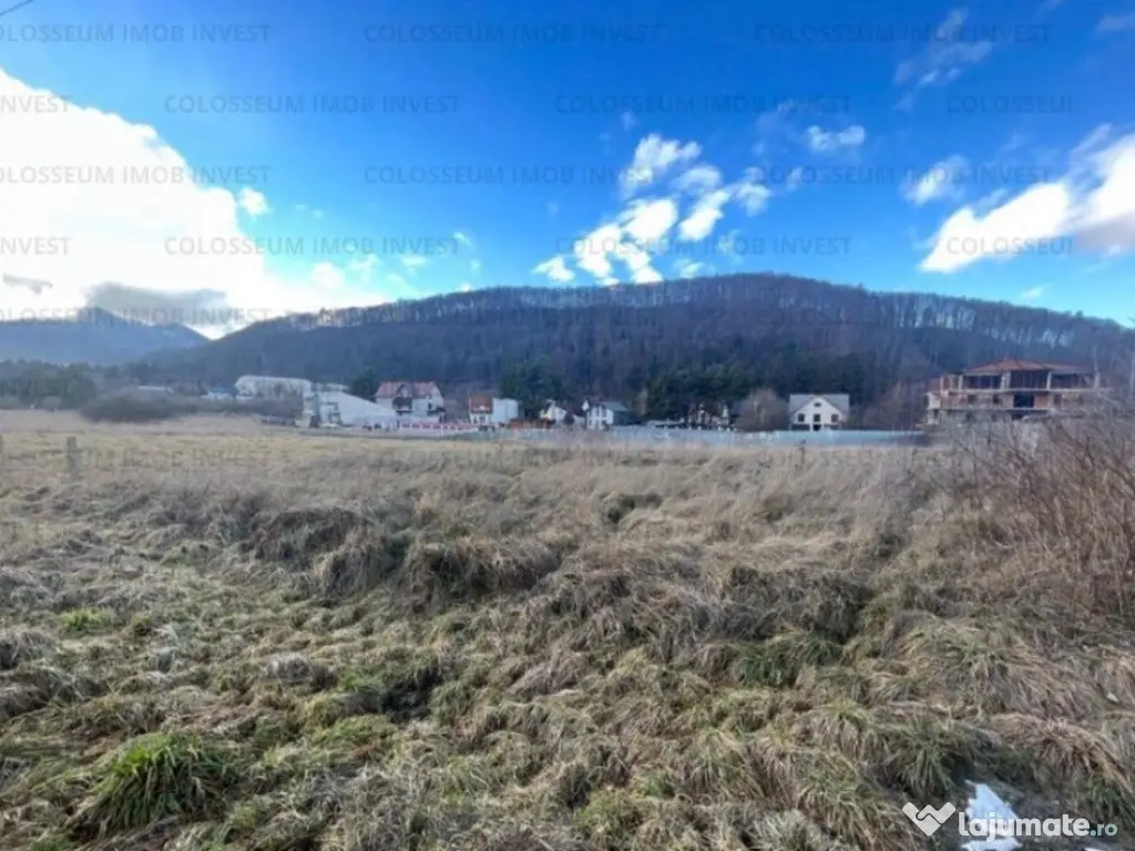 Teren intravilan, cu certificat de urbanism - Bunloc/Sacele 