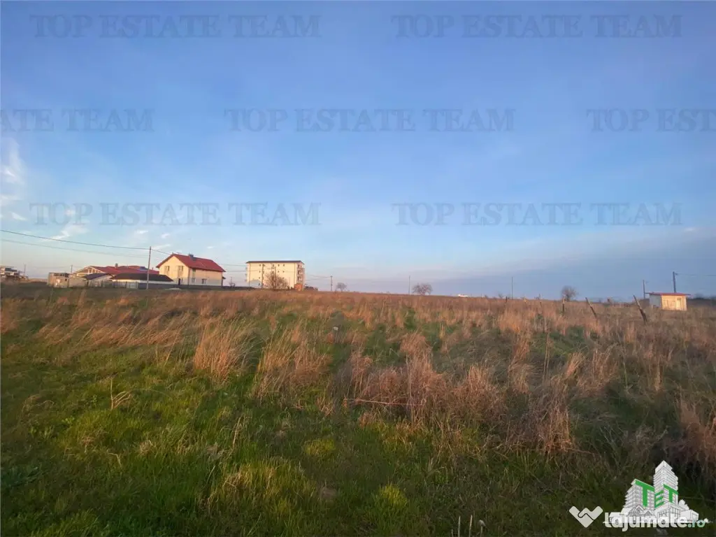 Teren intravilan construibil 18000 mp Costinesti, Constanta 