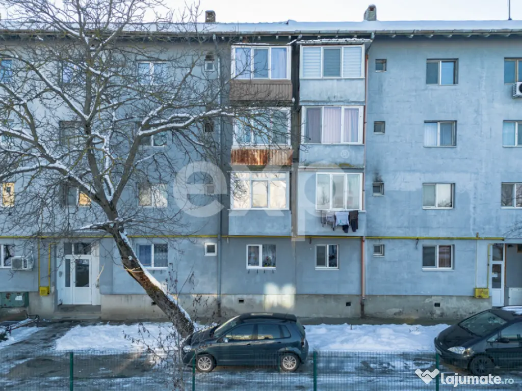 De vânzare apartament 3 camere decomandate, parter, stațiu 
