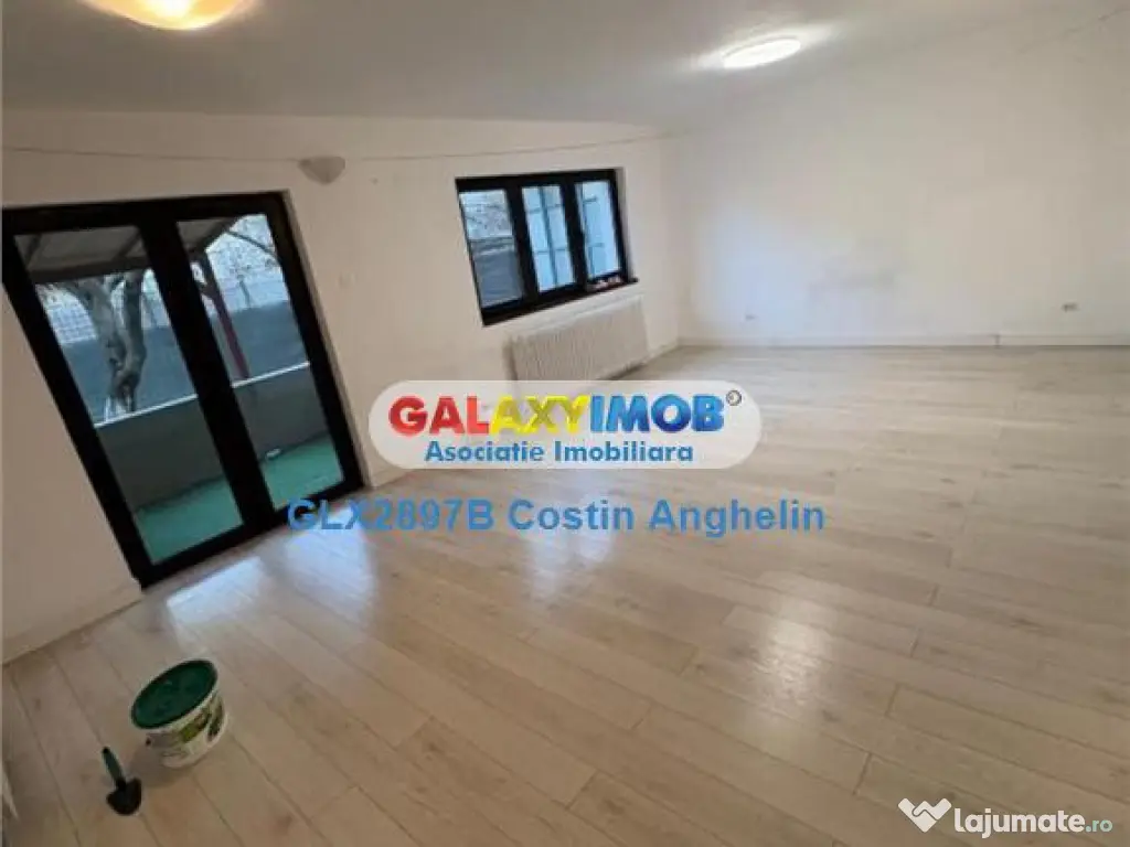 Vila individuala cu gradina generoasa - Floreasca 