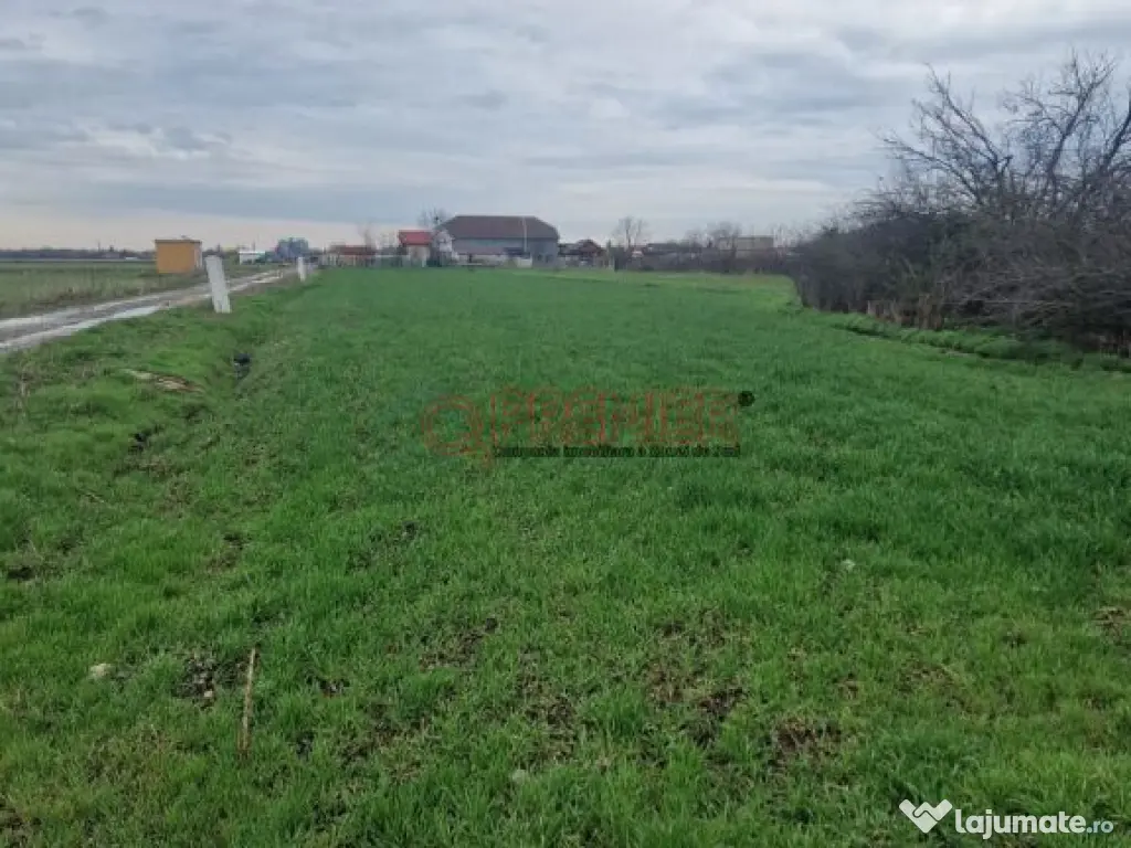 Teren Fundulea 1000 mp | 25 min Bucuresti | Deschidere 55m 