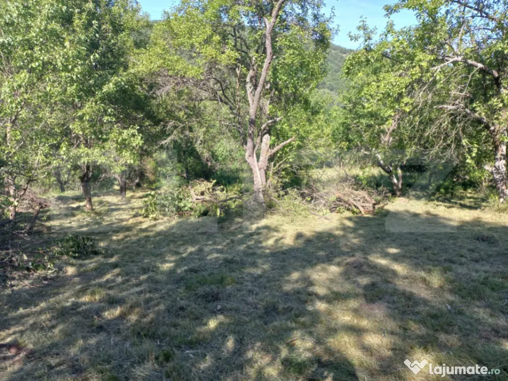 Teren intravilan 4.175 mp în Inuri – ideal cabană/casă 