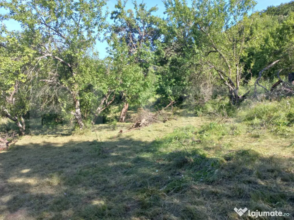 Teren intravilan 4.175 mp în Inuri – ideal cabană/casă 