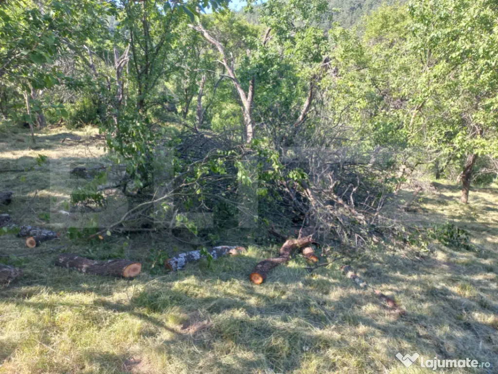 Teren intravilan 4.175 mp în Inuri – ideal cabană/casă 