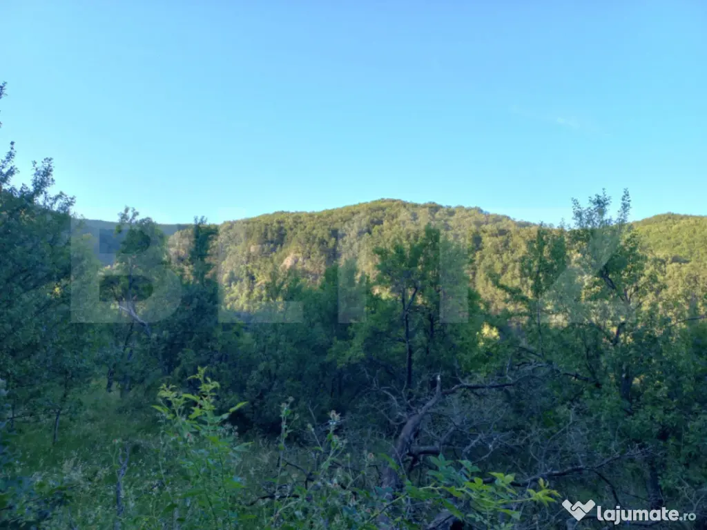 Teren intravilan 4.175 mp în Inuri – ideal cabană/casă 