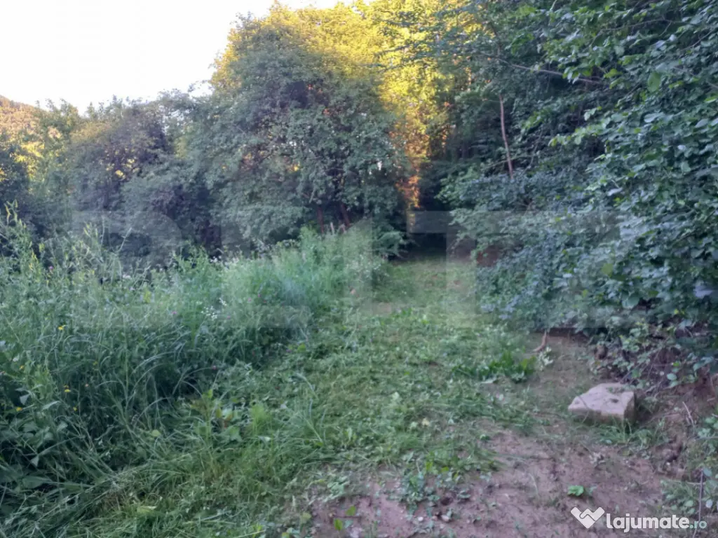 Teren intravilan 4.175 mp în Inuri – ideal cabană/casă 