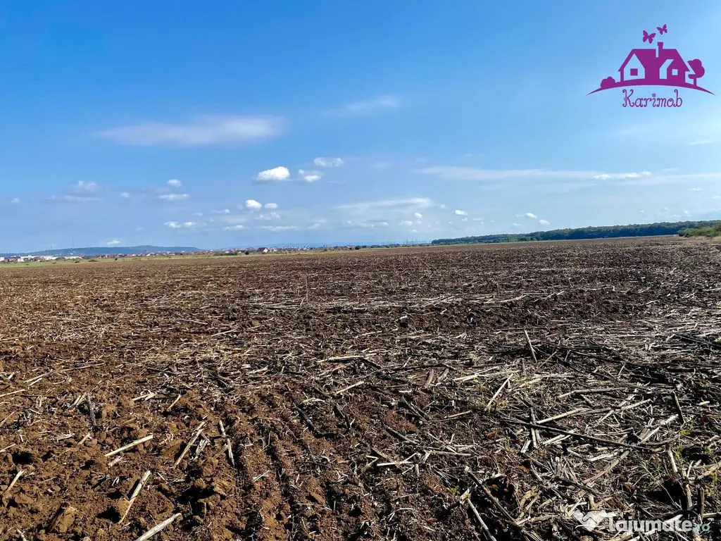 Teren pentru investitii zona Grigorescu