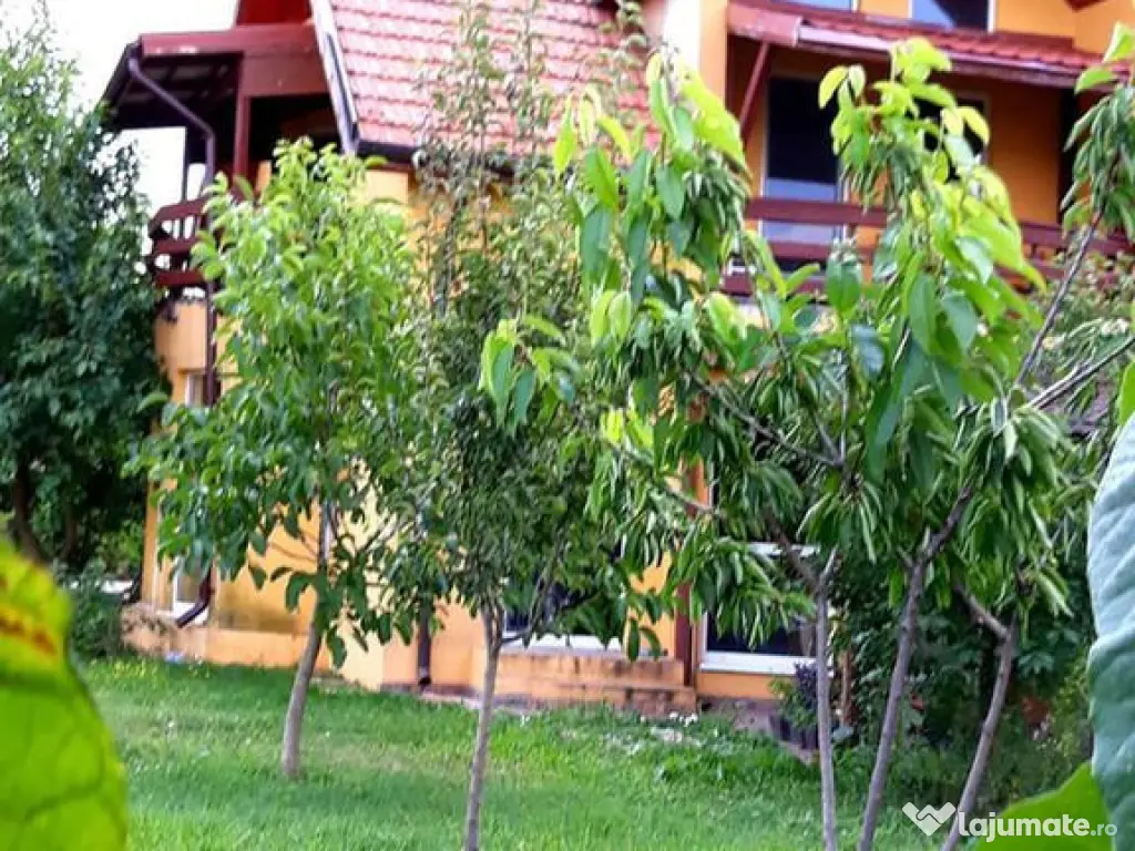 Loturi de teren pentru constructii de case in Paradise Valey