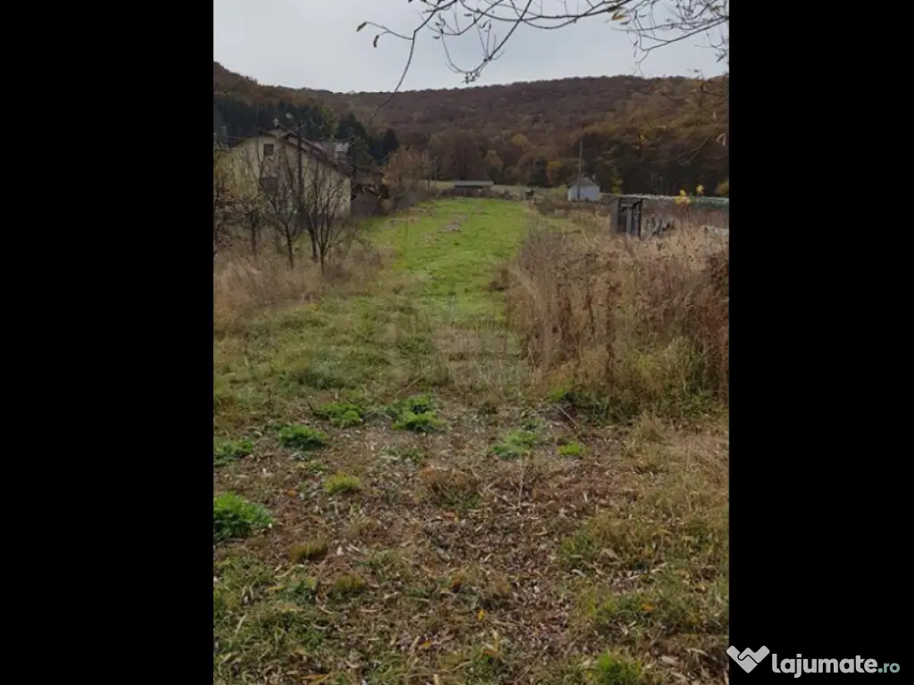 Teren intravilan Gilau 