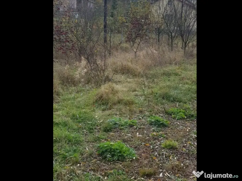 Teren intravilan Gilau 