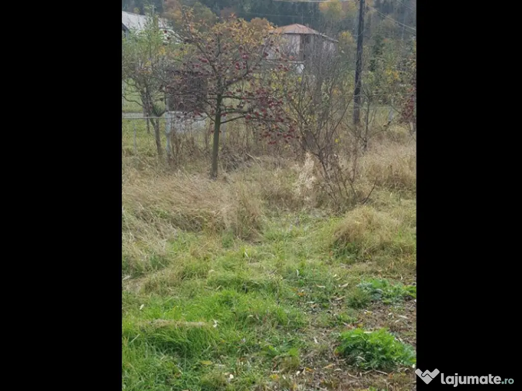 Teren intravilan Gilau 