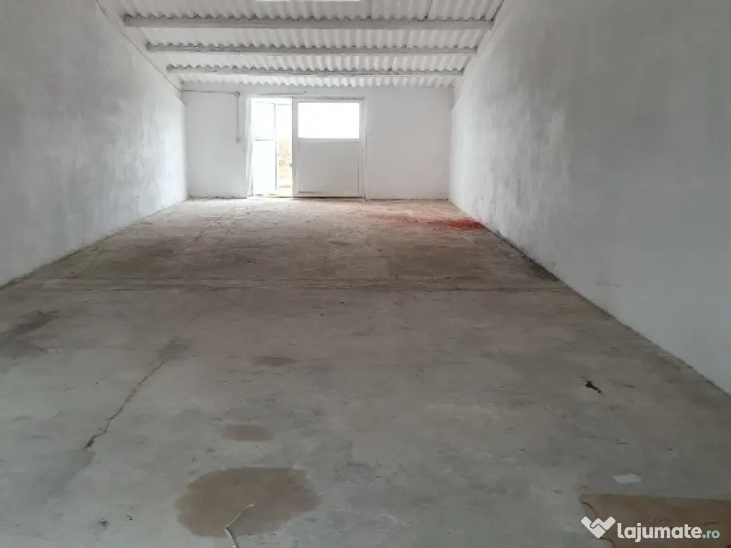 Hala zona BAT - 100 mp 