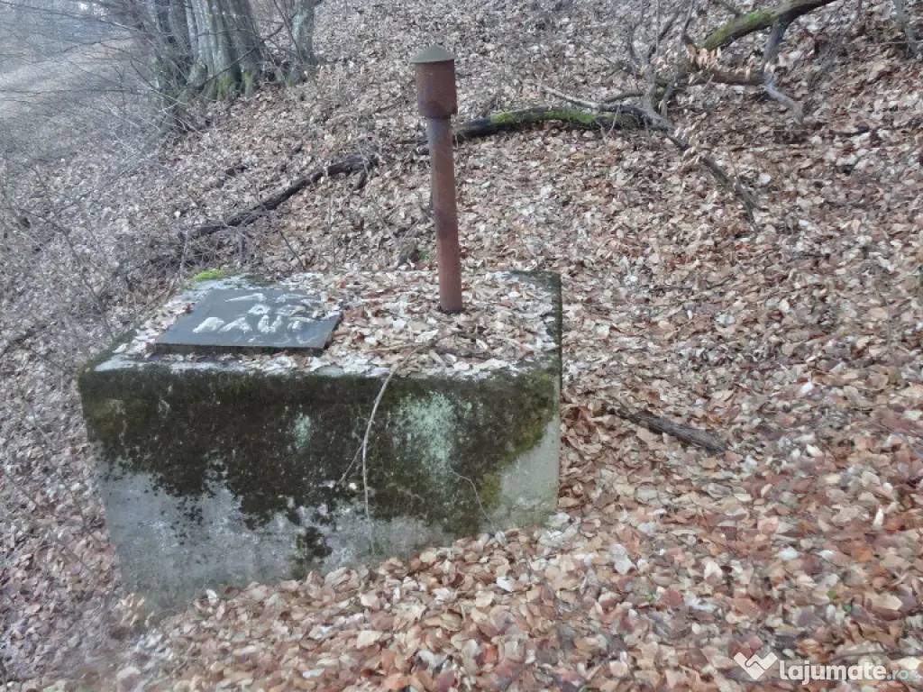 Teren in curs de intrare in intravilan in Geoagiu Bai