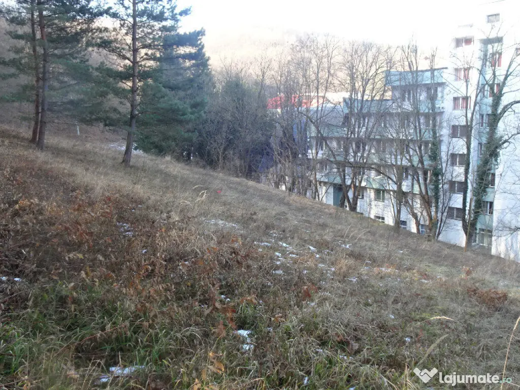 Teren in curs de intrare in intravilan in Geoagiu Bai