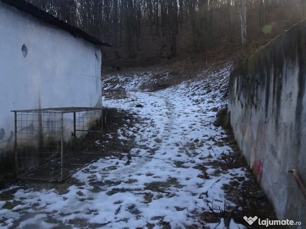 Teren in curs de intrare in intravilan in Geoagiu Bai