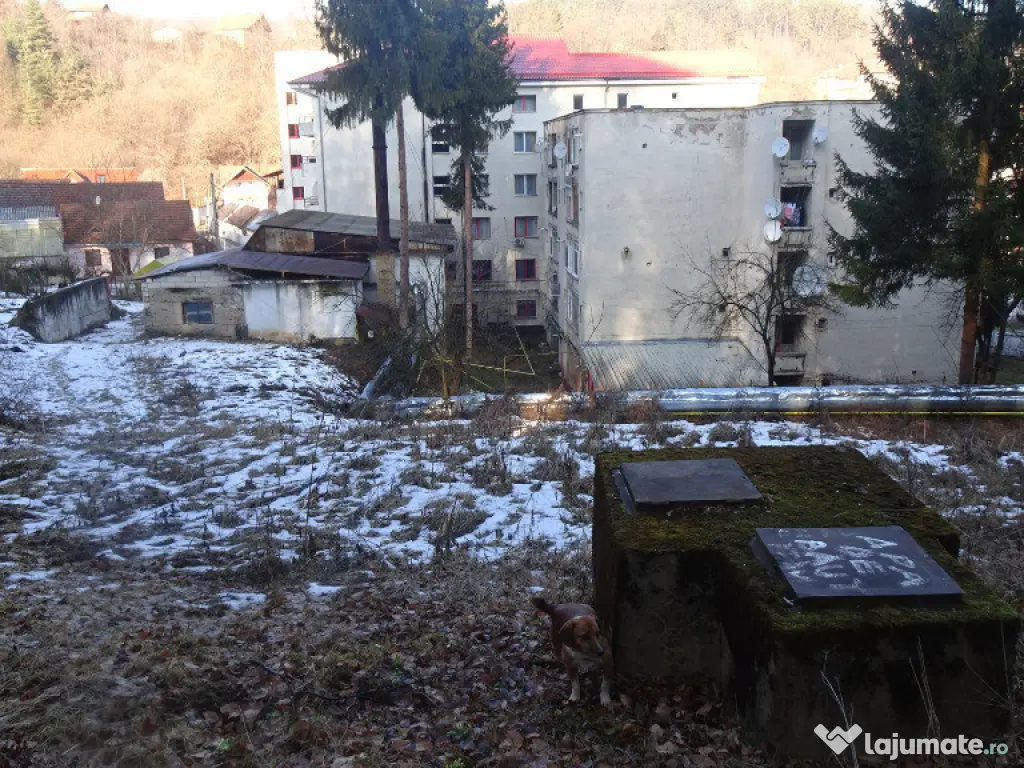 Teren in curs de intrare in intravilan in Geoagiu Bai