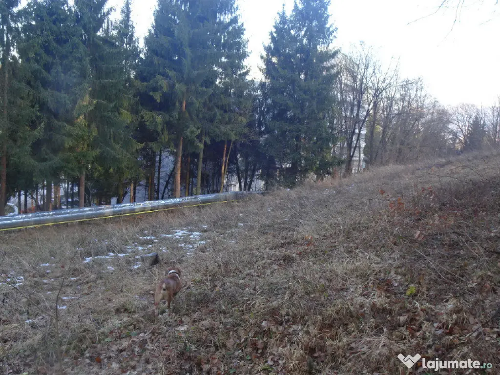 Teren in curs de intrare in intravilan in Geoagiu Bai