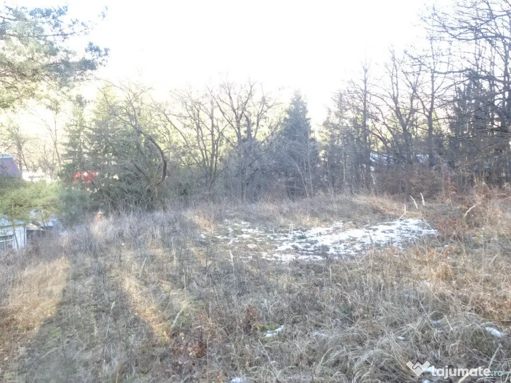 Teren in curs de intrare in intravilan in Geoagiu Bai