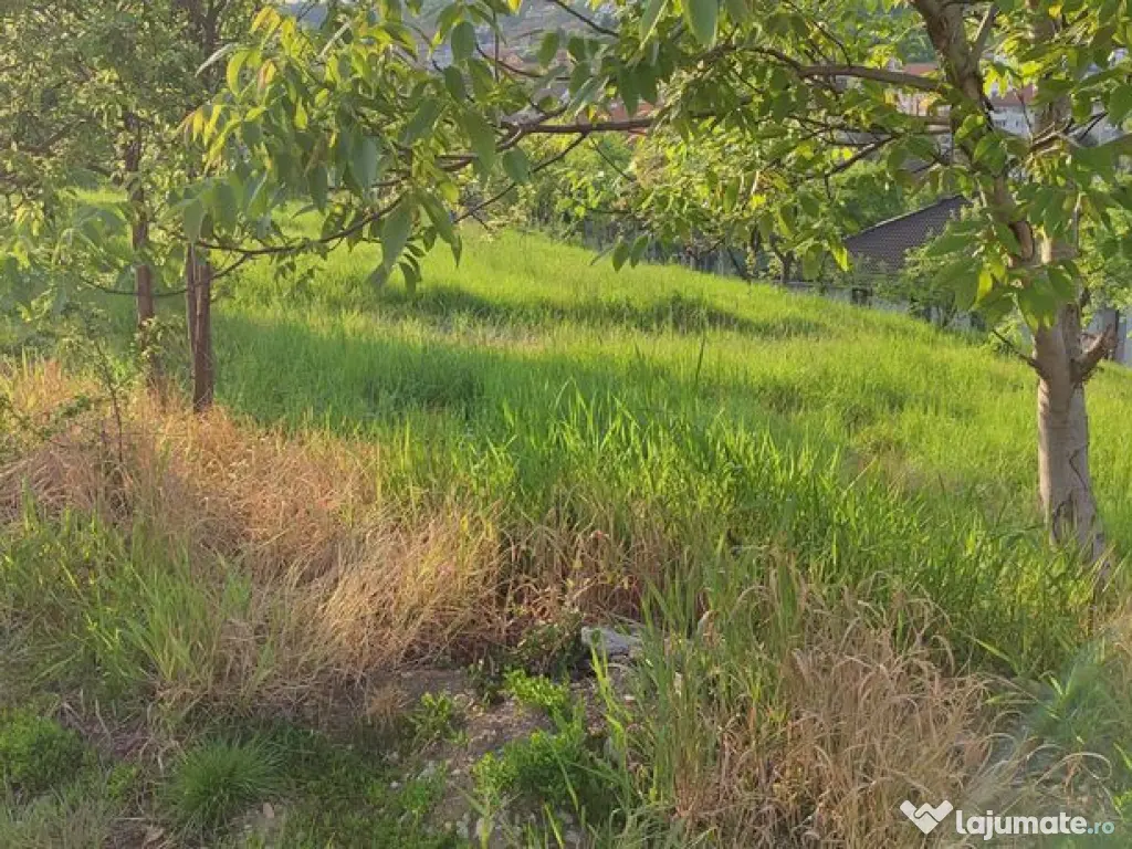 Teren Spitalul Judetean 