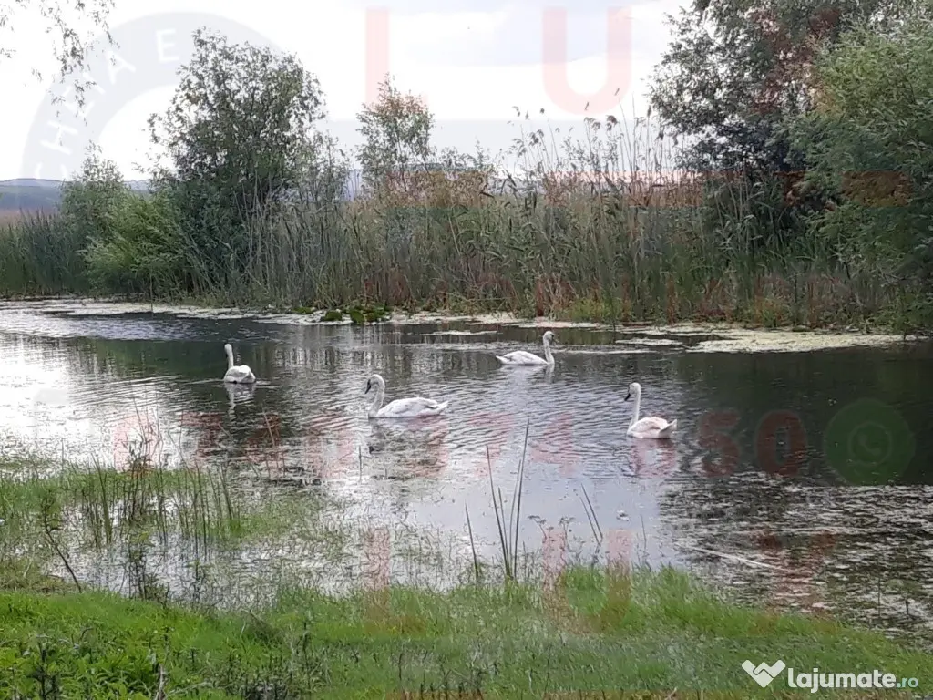 ID 7563 Teren Sat MINERI cu DESCHIDERE la LACUL CASLA