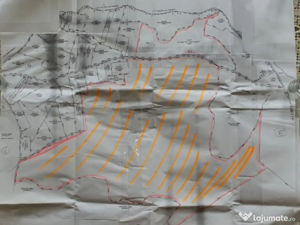 50 Ha pasune, judetul Prahova 