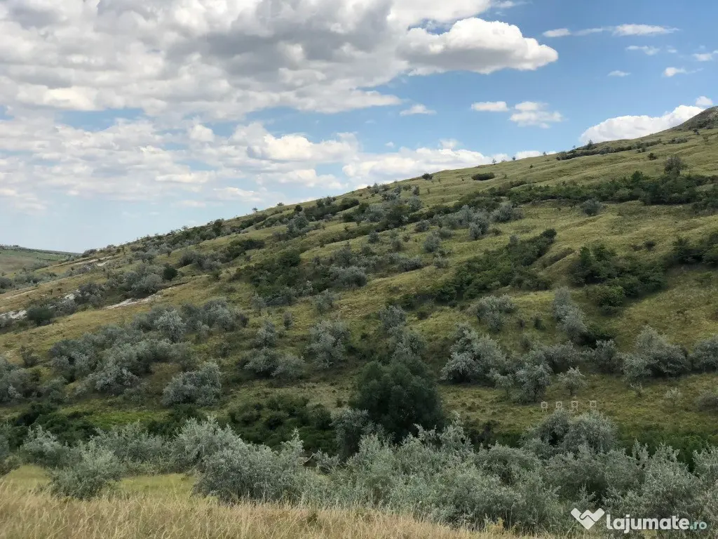 50 Ha pasune, judetul Prahova 