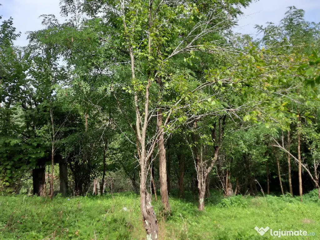 Conac situat in Breaza cu 2340 mp teren