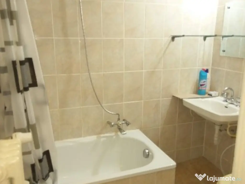 Apartament 1 camera , zona Take Ionescu