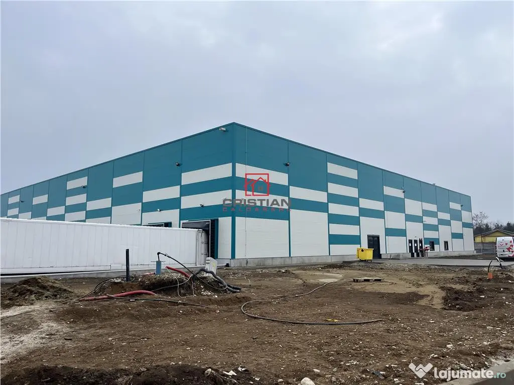 Depozit/hala/spatiu industrial Stefanesti - Centura