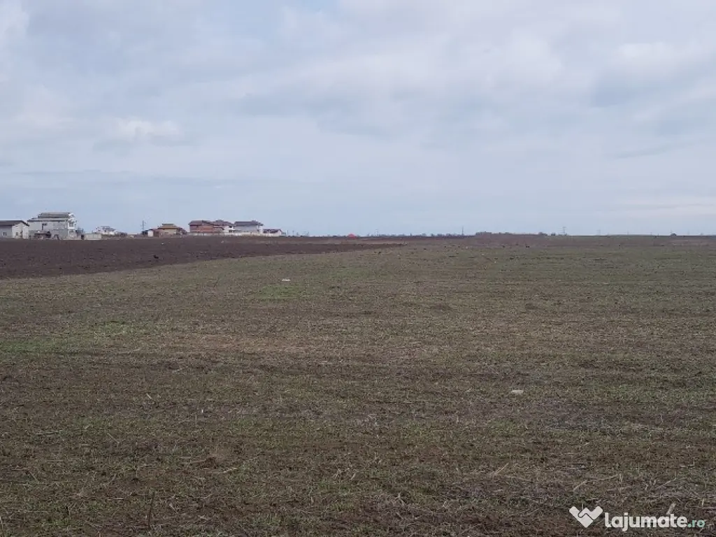 Teren intravilan Lazu