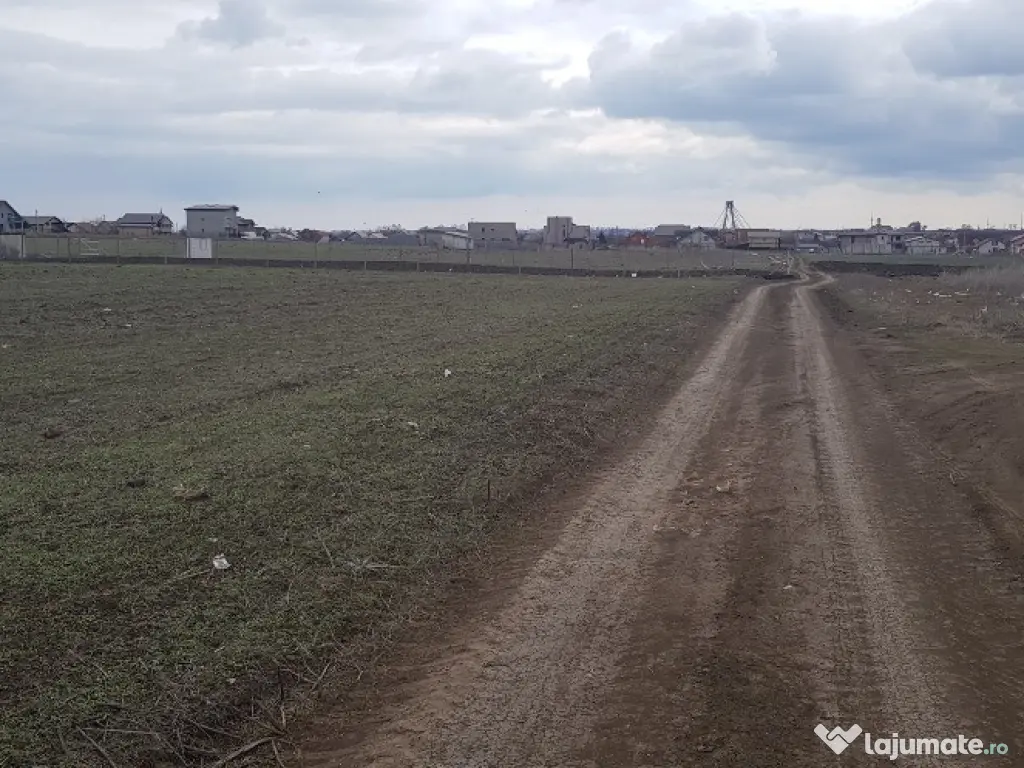 Teren intravilan Lazu