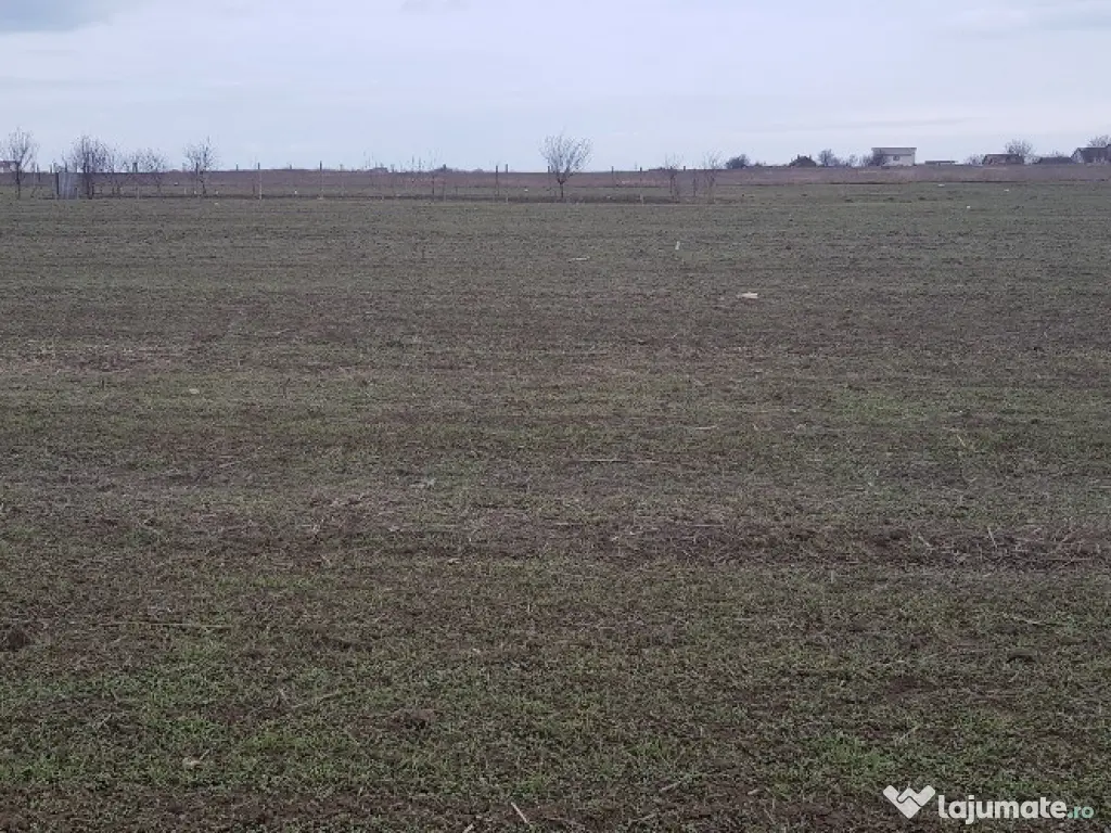 Teren intravilan Lazu