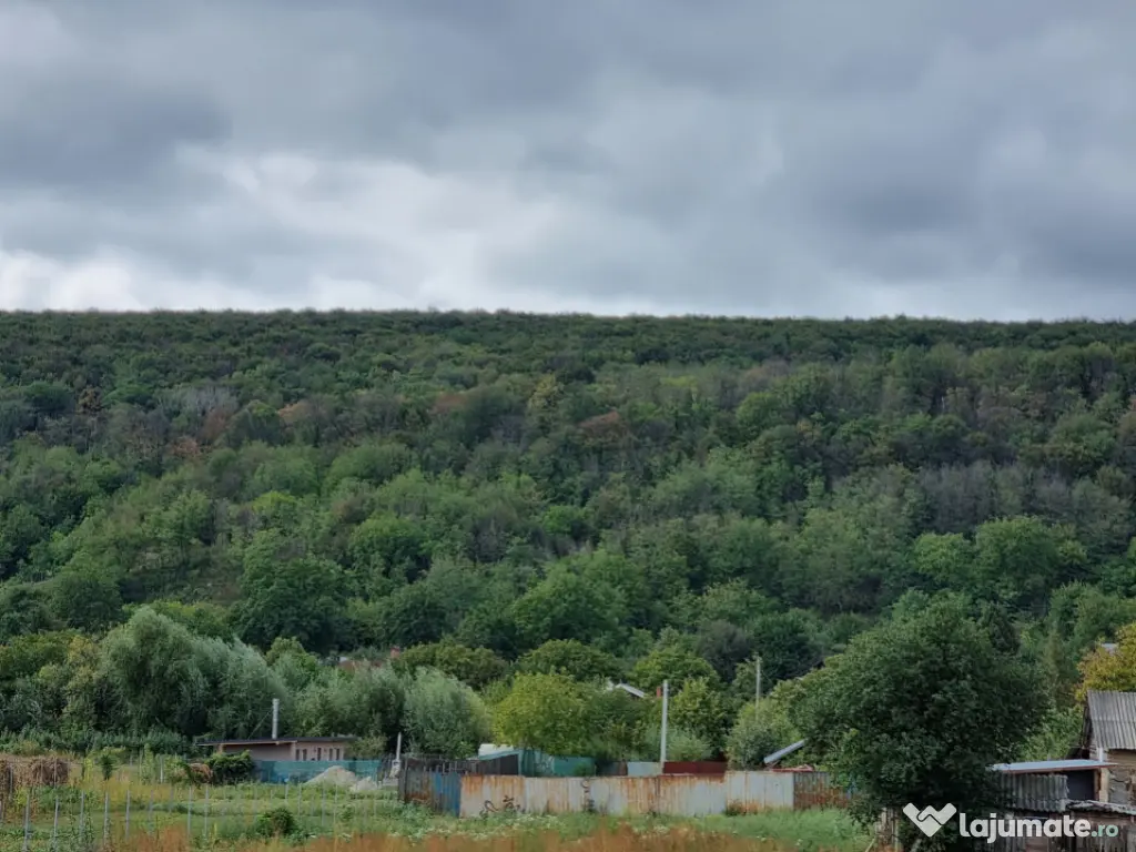 Casa premium! Hemeiusi 3 dormitoare,3 bai , terasa beci 